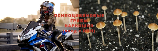 прущие крисы Белокуриха